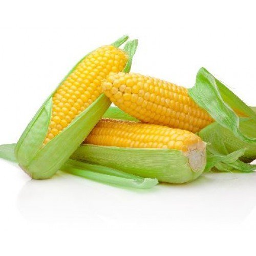 Syed Garden Sweet Corn Seed Pack Of 50 Seeds (B0752884W6) Amazon Price History, Amazon Price Tracker