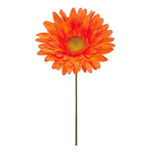 K[xsbN IW FLP6020OR K[x K[xsbN  sbN A[gt[ AW