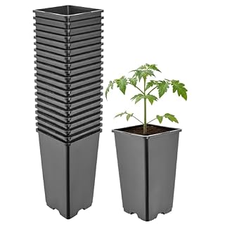 Garronda godets carrés hauts 1,7 L : lot de 20