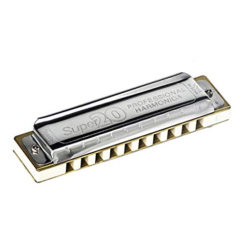 Gaita Diatônica Hering Super 20 C (dó) 8020c Com Case