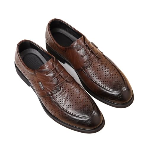 Men's Business Leather Shoes Pointed Toe Casual Shoes Oxfords(Dark Brown,10)