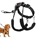 SPORN Dog Halter, Black, Small