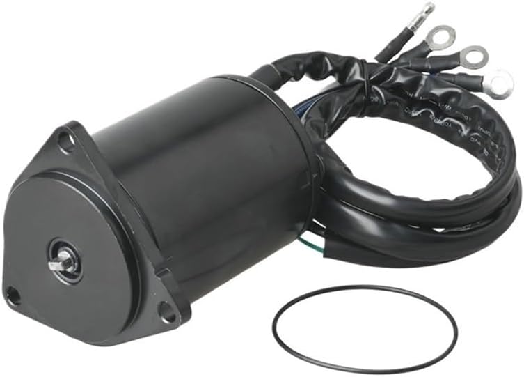 華やかな覆輪紫陽花