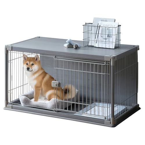 �A�C���X�I�[���} �C���e���A�E�b�f�B�T�[�N�� PIWS-1260 ���C�g�O���[