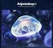 Anjunadeep 02