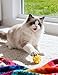 DIYUQISHI 5-Pack Cat Toys for All Cat Breeds, Pure Bliss (1.5'')