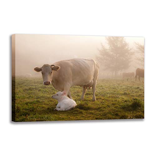 Tableau sur toile vaches et brouillard pour habiller un mur vide avec élégance