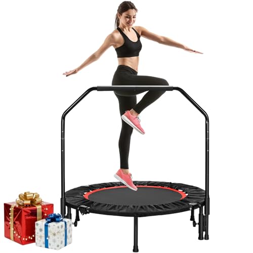 LIFERUN Fitness Trampolin Indoor Ø101cm,Tragfähigkeit 150 kg,Workout Rebounder,mit 3 Verstellbare Handgriffstufen,mini Trampoline für Erwachsene,Rot
