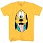 Pluto, Gold