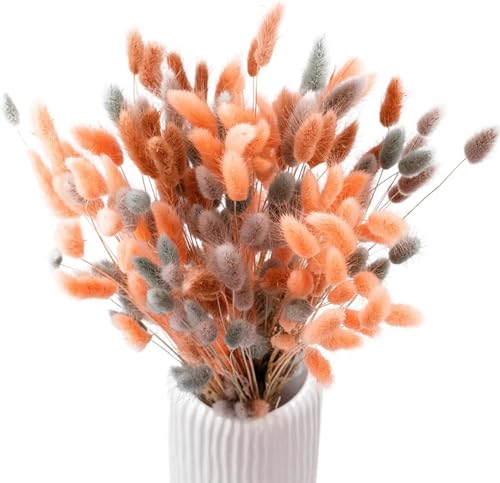 Boho Room Decor 100 piezas ramo natural seco miniatura 1