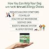 Vet Treat Dog Allergy Relief Chews - 170 Dog Allergy Chews - Itch Relief for Dogs - Anti Itch for Dogs - Dry & Itchy Skin - Allergies & Immune Support Supplement, Omega 3 Fish Oil, Colostrum - USA #1