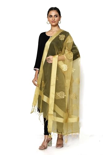 Naveera Gold Embroidered Tissue Organza Banarasi Dupatta for women Shawl Scarf Wrap Chunni (Beige Free Size)