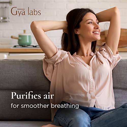 Gya Labs Eucalyptus Spray For Sinus Relief And Skin Care - Air Freshener Room Spray To Purify Air - Face Mist Spray For Tired And Dry Skin - 100 Pure And Unrefined Eucalyptus Oil Spray - 100Ml #TOP4