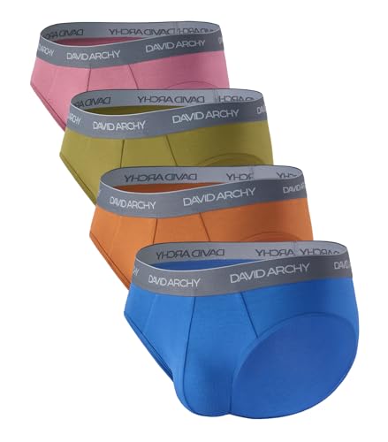 DAVID ARCHY Men's Briefs Rayon Made from Bamboo Underwear Comfort Fit Super Soft Comfort NO Fly Briefs 4 Pack (M, Blue/yellow brown/cardamom green/red)