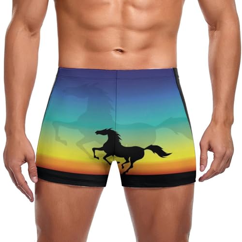 Maillot de bain slip pour homme Cheval Noir idéal pour la natation