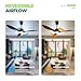 SUNNOCK 52’’Ceiling Fan with Light, 3 Solid Wood Blades, 3-Color Light 6-Speed Outdoor/Indoor Ceiling Fan for Bedroom,Living Room,Patio,Porch,Farmhouse,Reversible Silent DC Motor, Dark Walnut