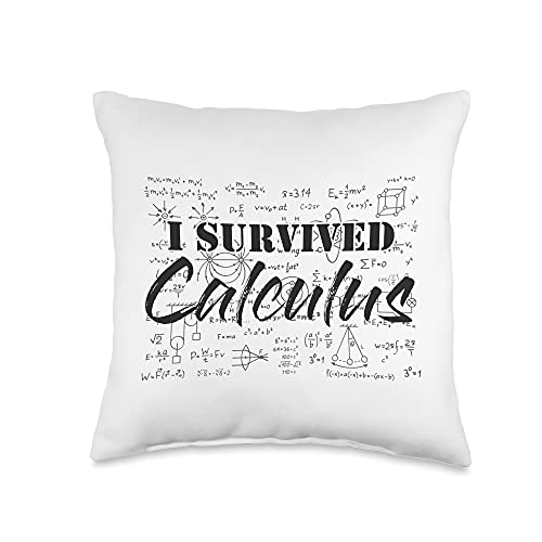 I Survived Calculus, Easy Calculus, Gifts for Math Lover Throw Pillow