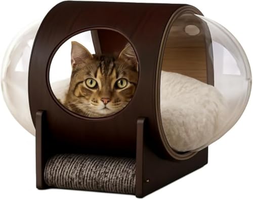 CokBlu ؐh[^FDLbgnEX t[XNbVtybgxbh uLpƋ t@bVL?