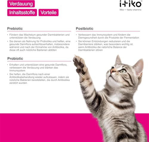 Verdauungshelfer für Katzen | Unser Probiotika Gegen Durchfall Katze Wirksam | Alternative zu Heilerde | Kein gewöhnliches Leckerli, sondern die Beste Darmgesundheit für Ihre Katze–von ITIKO
