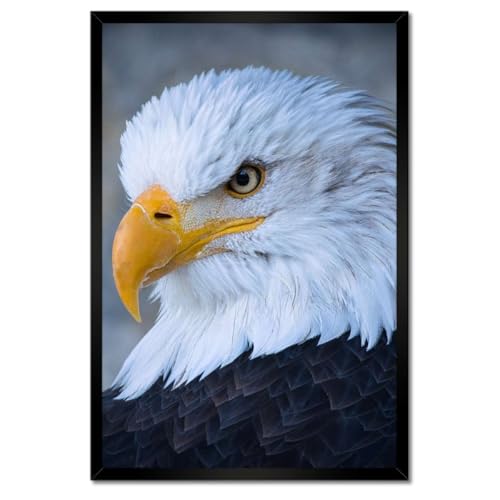 Aigle poster sous cadre blanc 40x60 cm pour decoration murale de salon