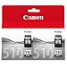 Produktbild Canon 510+510, 2x Original Tintenpatrone schwarz