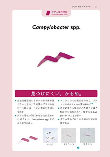 Amazon.co.jp: 医学書院ストア: レジデント