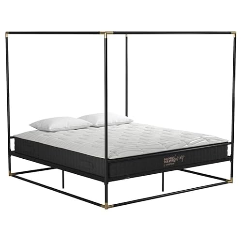 Cosmoliving By Cosmopolitan Cosmoliving Celeste Canopy Metal, King Size Frame, Black/Gold Bed #TOP7