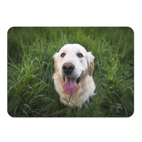 Dessous en liège grand format lot de 4 sets de table souples chien