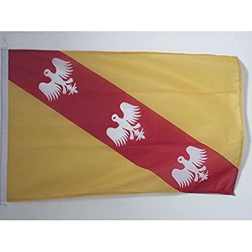 AZ FLAG - Drapeau Lorraine - 45x30 cm - Pavillon Nautique Lorrain - France Spécial Bateau Et Extérieur En Maille Bloquée Avec Anneaux Plastiques Intégrés...