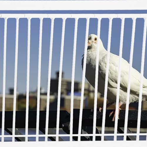Barra de colisión anticaídas para puerta de acero inoxidable en jaula de pájaros 6