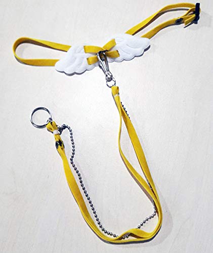 25 Best Bearded Dragon Leash And Harness In 2020 Reviews Faqs