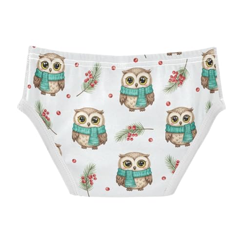CHIFIGNO Briefs for Boys Cute Winter Owl White Cotton Boys Underwear Soft Breathable Brief Underwear2
