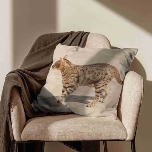 Housse coussin 50x50cm lin impermeable taie d'oreiller rectangulaire ecureuil CEVAN - 5