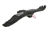 Safari Ltd Wings of the World California Condor Realistic Hand-Painted Toy Figurine Model For Ages 3 And Up – Large
