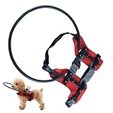 Blindes Hundegeschirr – 1 Set Navigationshalsband Mit Reflektierenden Streifen Für Sehbehinderte Hunde, Sehbehindertes Haustierhalsband | Blinder Hundering Für Spaziergänge, Reisen, Training Im Innen-