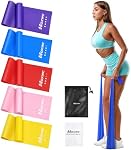 HOXWC Exercise Bands, Resistance Bands Women, Physical Therapy Bands for Stretching, Recovery, Pilates, Yoga, Rehab, Gym, Home Exercise, Elastic Workout Bands with Training Poster