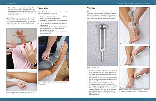 The Vital Nerves: A Practical Guide for Physical Therapists