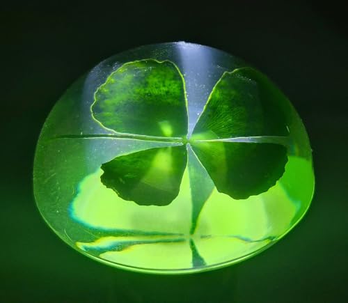 Image of 49mm Real Four Leaf Clover Shamrock in Crystal Clear Semi-Sphere Lucite Resin Specimen St.Patrick's Day inchLucky Leaf inch Gift Crafts Collection Botany Science Education Desk Ornament Display Paperweight | Clover in Resin