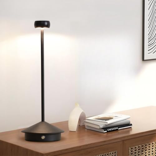 ԐڏƖ X^hCg iCgCg fXNCg xbgTChv k R[hX  v 3ސF iK Type-C[d ^b`  CeA IV LED ڂɗD (J)