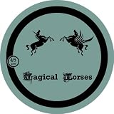  Unicorn In The Garden (feat. Tal M. Klein & Anthony Mansfield)