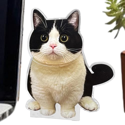 Décoration d'intérieur de petite voiture en forme de chat à tête branlante pour tableau de bord de voiture, décoration de tableau de bord en acrylique, décoration de bureau