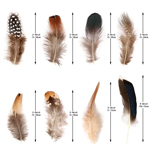 THARAHT 240pcs Natural Feathers Small 4 Styles Bulk for DIY Crafts Hat Wedding Home Party Decoration Feathers - Thumbnail 2