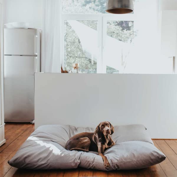 Hundebett Lancaster XXXL (175 x 145 cm), grau