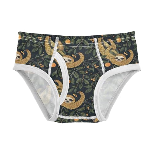 visesunny Boys Potty Training Underwear Cartoon Funny Sloth Breathe Cotton Briefs Size 2T-8Y for Toddler