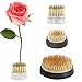 Produktbild DriSubt Blumen-Frosch Blumenhalter Kenzan Blumensteckigel Round Flower Arrangement für Blumenarrangements, Kunst, Heimbüro-Dekoration (3Stück)