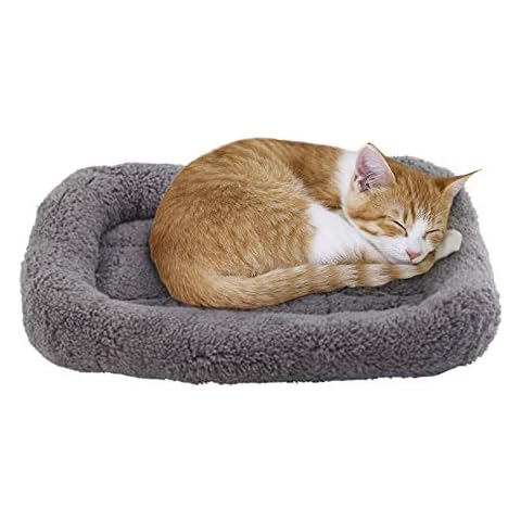 lesypet Cat Bed Mat for Small Animals Cover