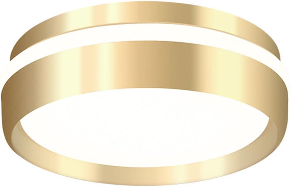 12W 1100lm Comely Ceiling Lights, Round Ceiling Lighting Side Eeiling Lighting LED Ceiling Lamp Three-Color Dimming Close to Ceiling Light Fixtures Bedroom Study Living Room Dining Room