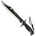 Whetstone Clip Saber 16" Bowie Knife - Full Tang Stainless Steel