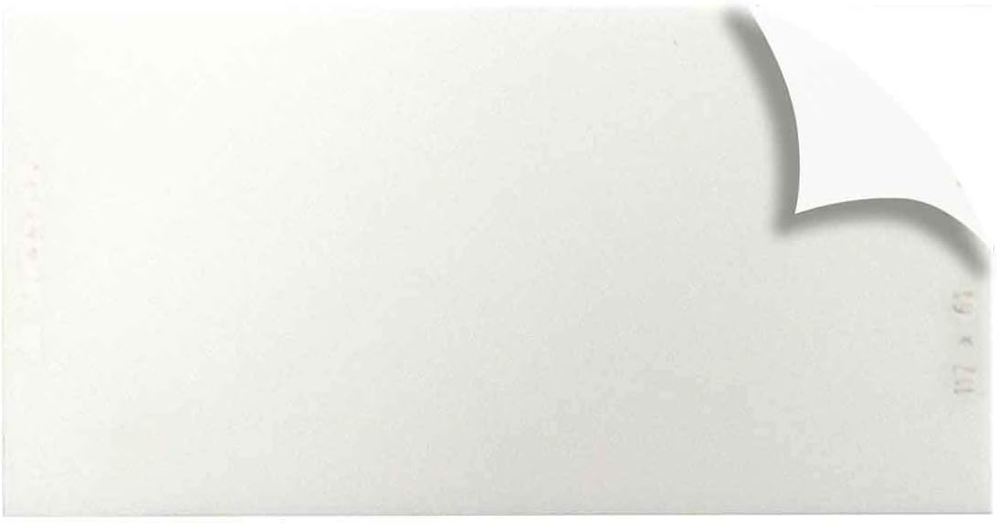 3M 56139 Speedglas Inside Lens for 9100X Helmet, 5 pack