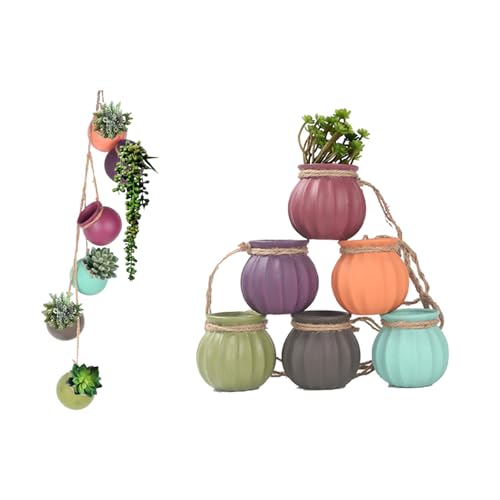 Pots de fleurs suspendus gain de place pour optimiser les petits intérieurs